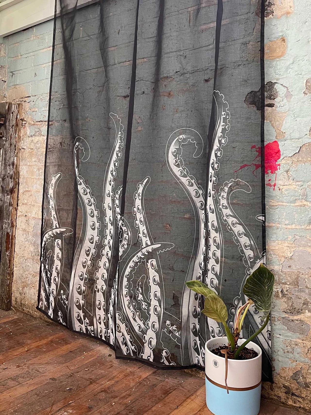 Sourpuss Tentacles Sheer Window Curtains at SugarSkulls Australia